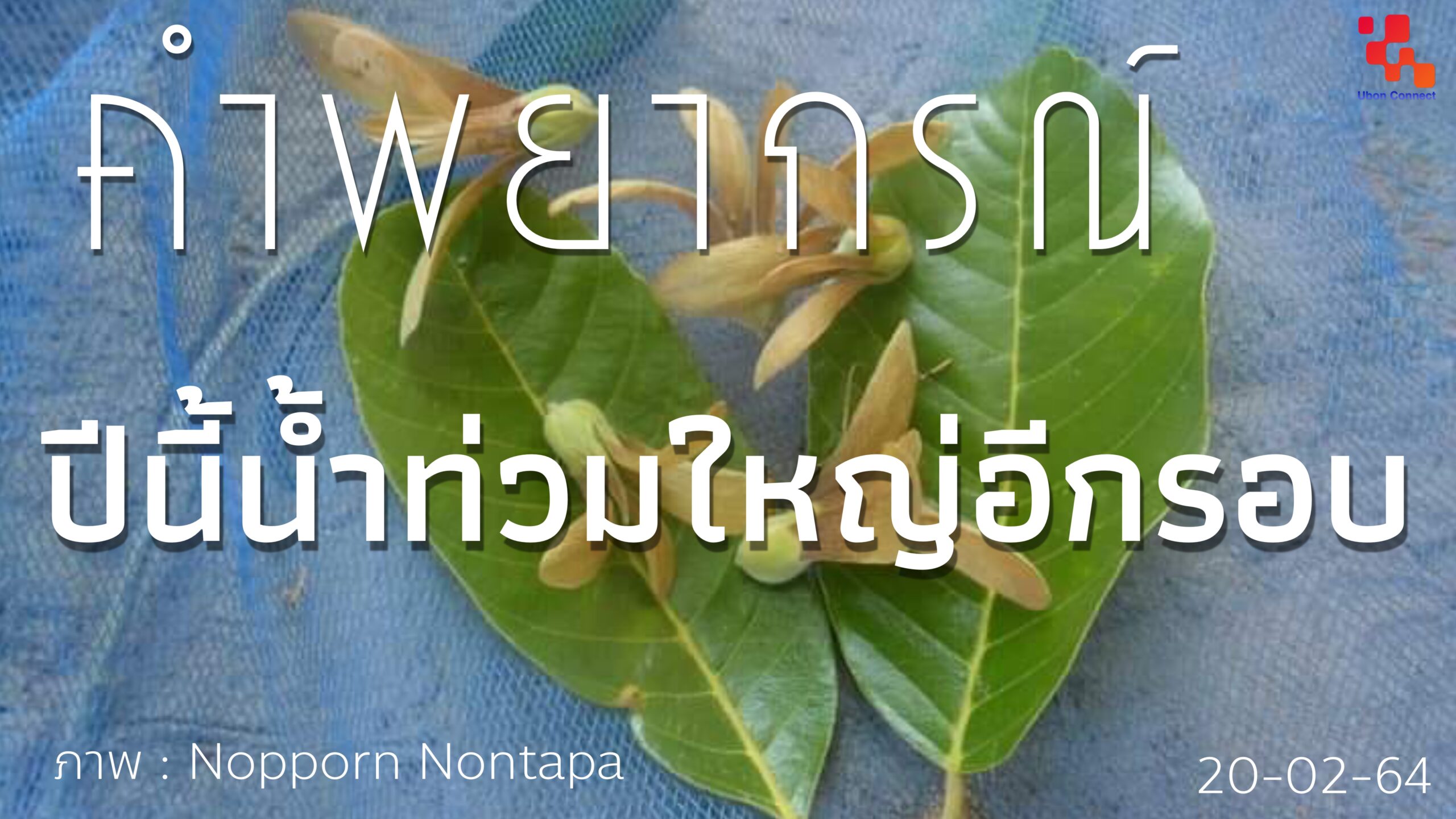 น้ำท่วม