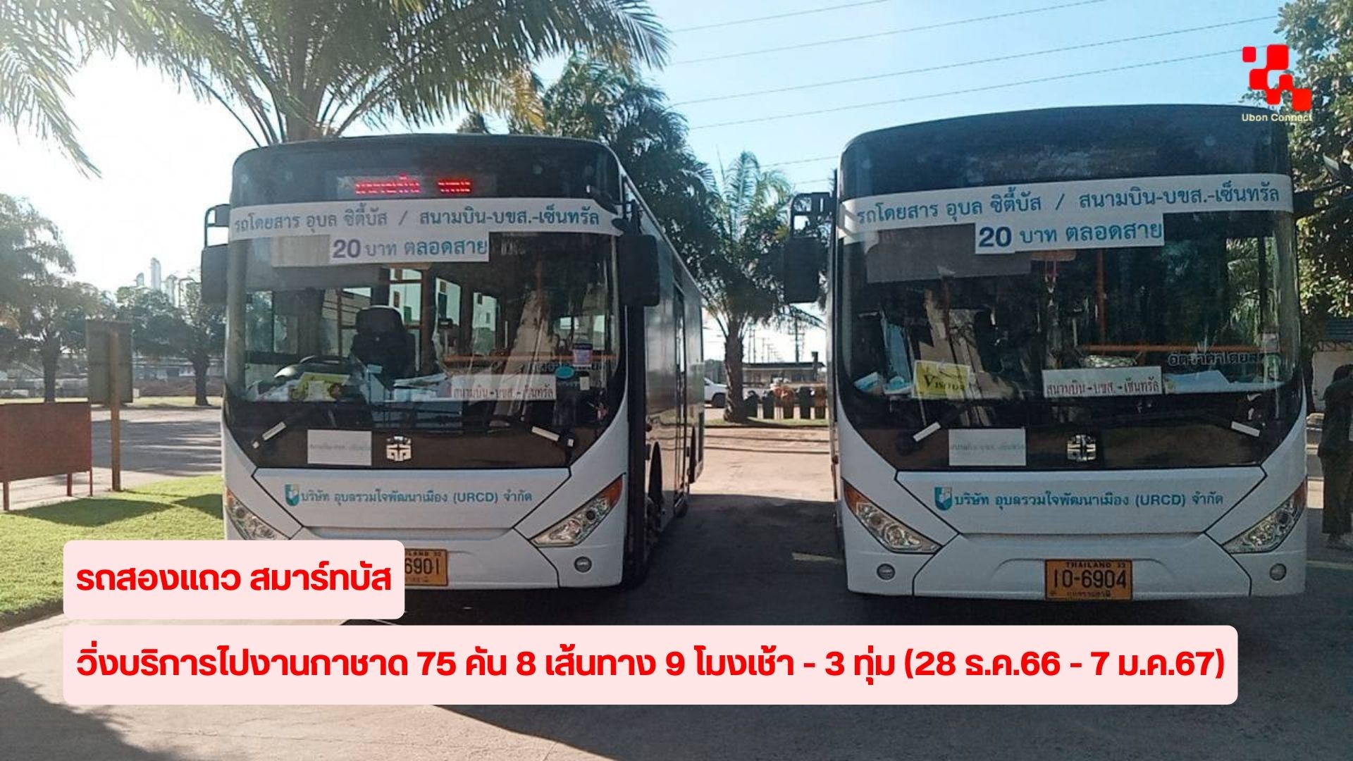 งานกาชาด