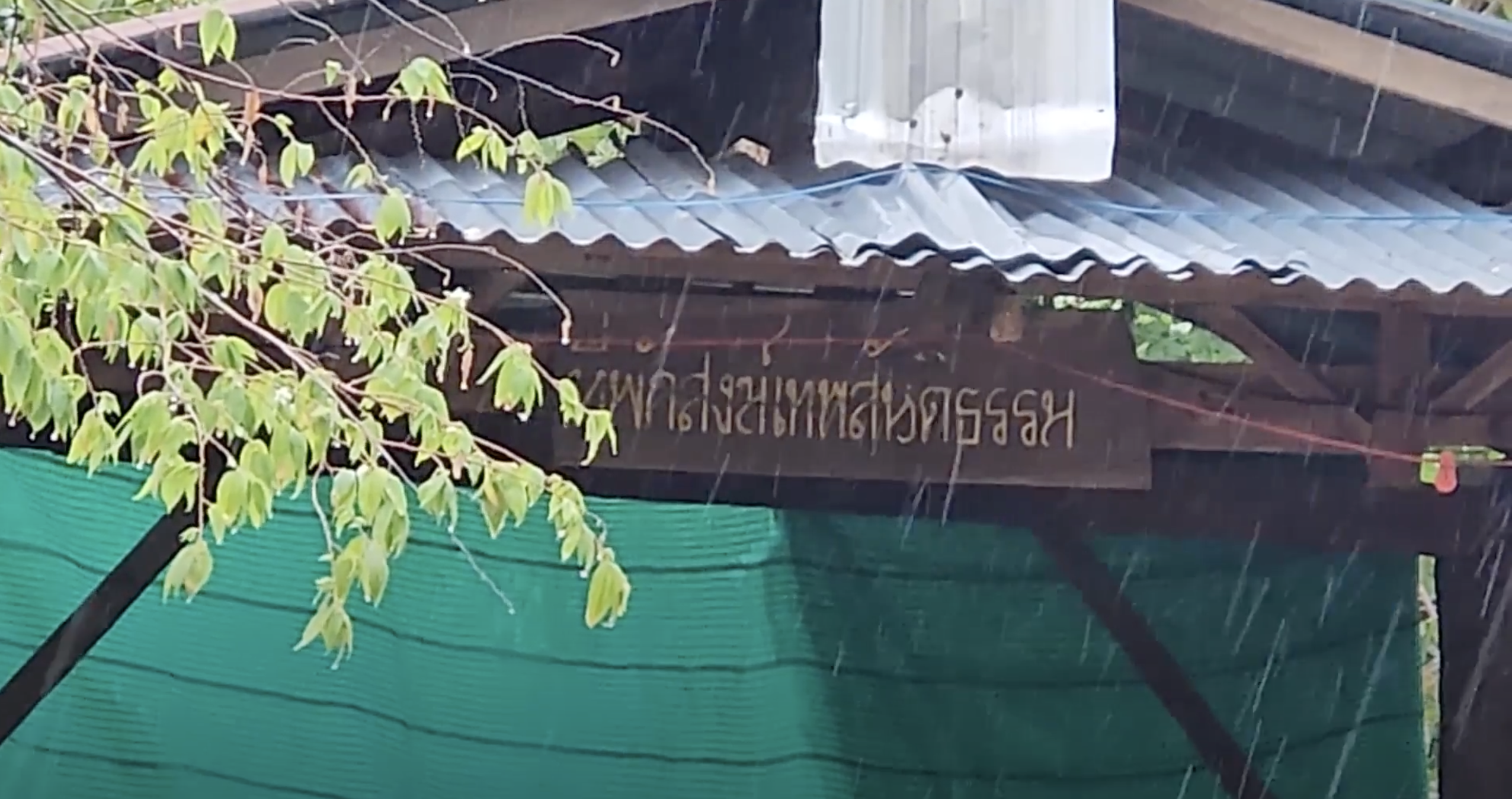 พระองค์ดำ