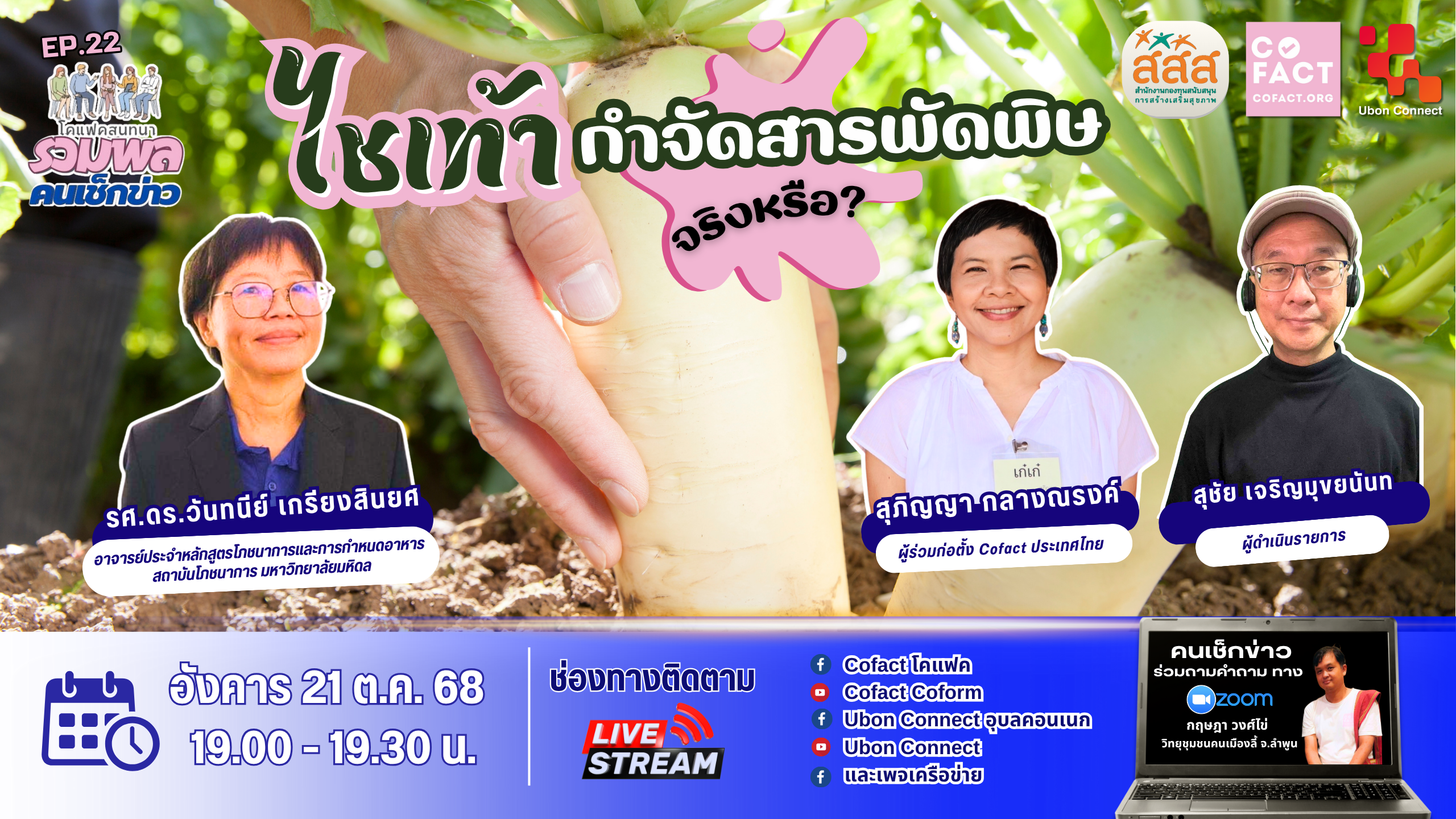 ไชเท้ากำจัดสารพัดพิษ
